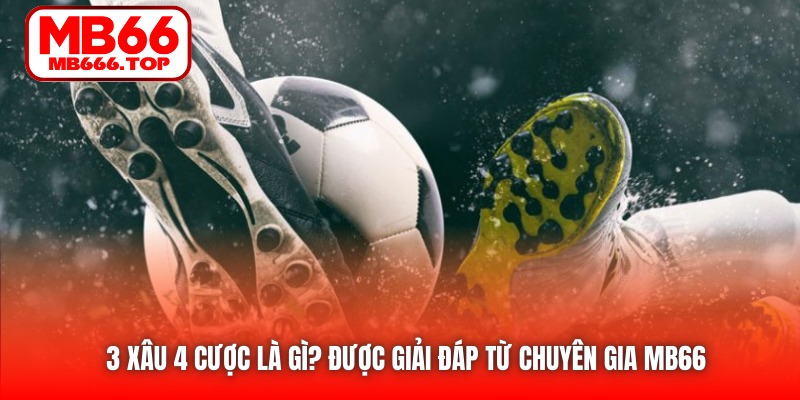 3 xâu 4 cược là gì? được giải đáp từ chuyên gia MB66